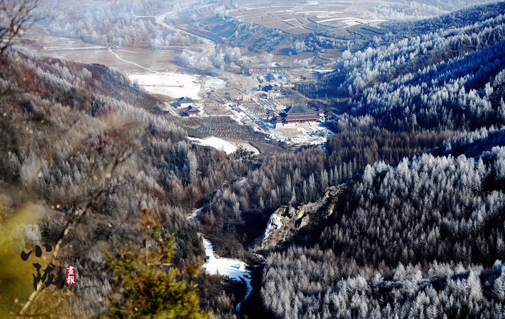 小隴畫(huà)報(bào)|甘肅渭源霧?。河駱?shù)瓊花靚山野（82期）