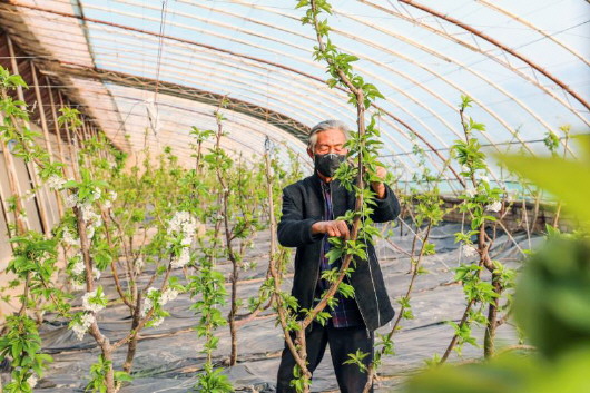 銅城復(fù)蘇：春光明媚，邀你共賞芳華（組圖）