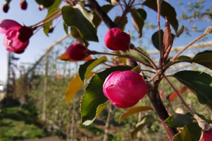 【堅持兩手抓 奪取雙勝利】解難紓困 共克時艱——甘肅省多措并舉支持中小企業(yè)復工復產