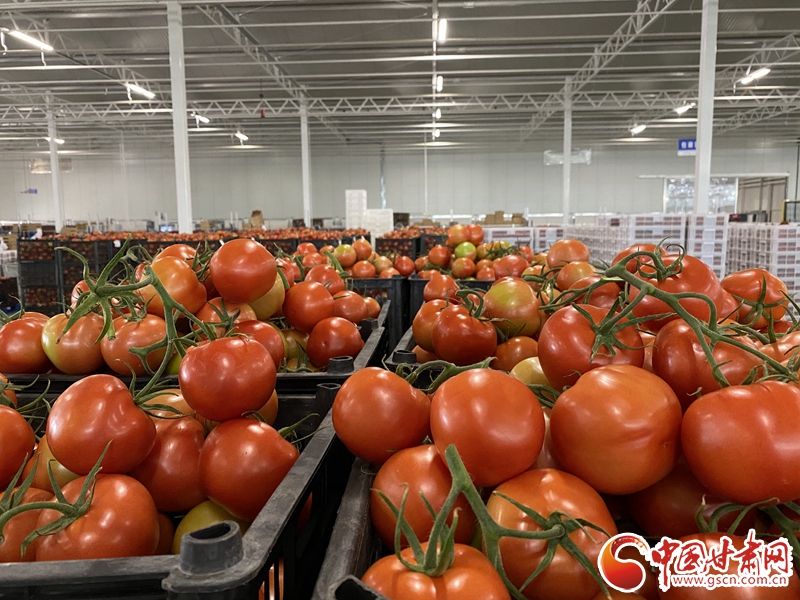 【甘肅省決戰(zhàn)決勝脫貧攻堅(jiān)】張掖民樂(lè)：寒旱農(nóng)業(yè)有種頭 縣委書記來(lái)“代言”