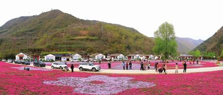 美麗隴南，風(fēng)景這邊獨(dú)好——隴南市推進(jìn)鄉(xiāng)村旅游高質(zhì)量發(fā)展綜述