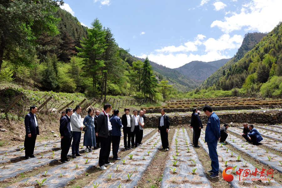 白龍江博峪河保護(hù)局開展產(chǎn)業(yè)發(fā)展、義務(wù)勞動(dòng)成果現(xiàn)場觀摩交流活動(dòng)