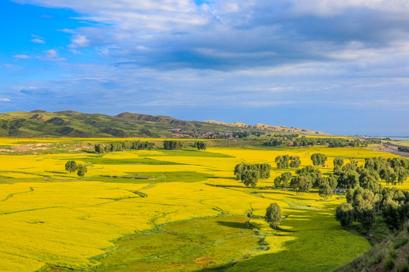 創(chuàng)意海報(bào)丨甘肅的美，你來(lái)了才知道