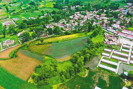 【溫暖的回響 滄桑巨變 飲水思源】這條路，通往幸福