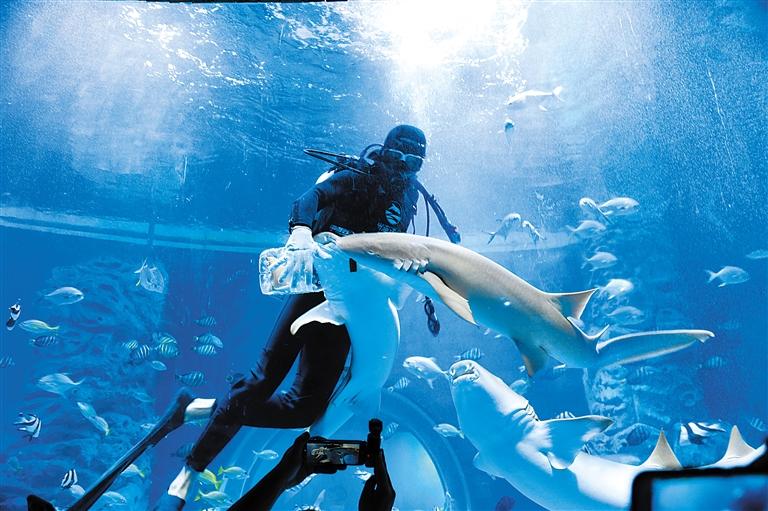 蘭州海洋公園 金昌火星1號(hào)基地 這個(gè)暑假我們“上天入?！?>
        </a><em>蘭州海洋公園 金昌火星1號(hào)基地 這個(gè)暑假我們“上天入?！?/em></li>
    <li><a  target=