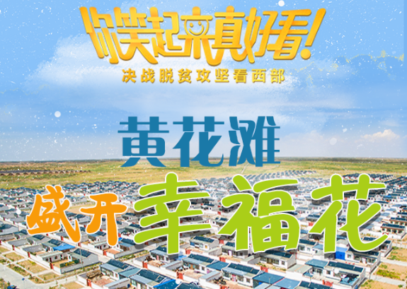 【你笑起來(lái)真好看】黃花灘盛開(kāi)幸福花（圖解）