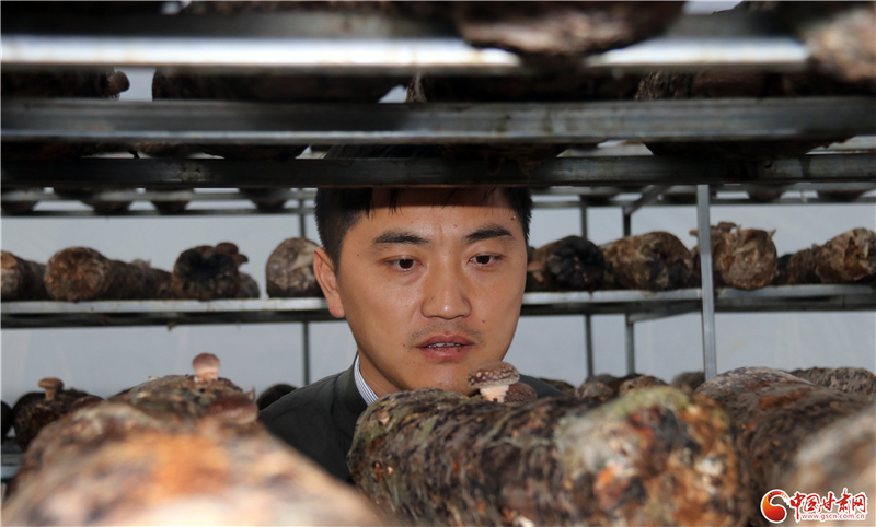 110年！何家溝村終于有了集體經濟——中建二局黨建結對幫扶成效顯著