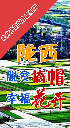 【走向我們的小康生活】長圖|隴西：脫貧摘帽 幸?；ㄩ_