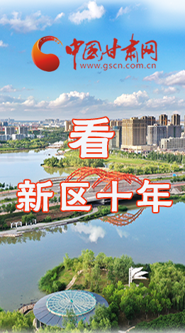 圖解|崛起！新區(qū)十年