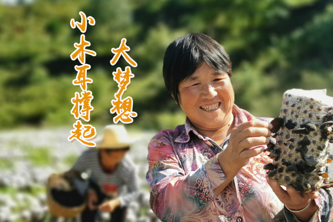 海報(bào)丨他們，乘“豐”破浪！