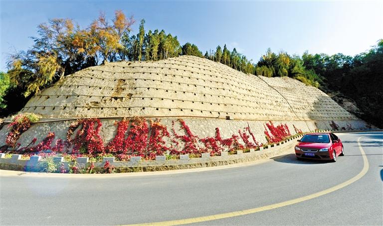 近90度陡坡上種樹！蘭州南北兩山綠化出新招