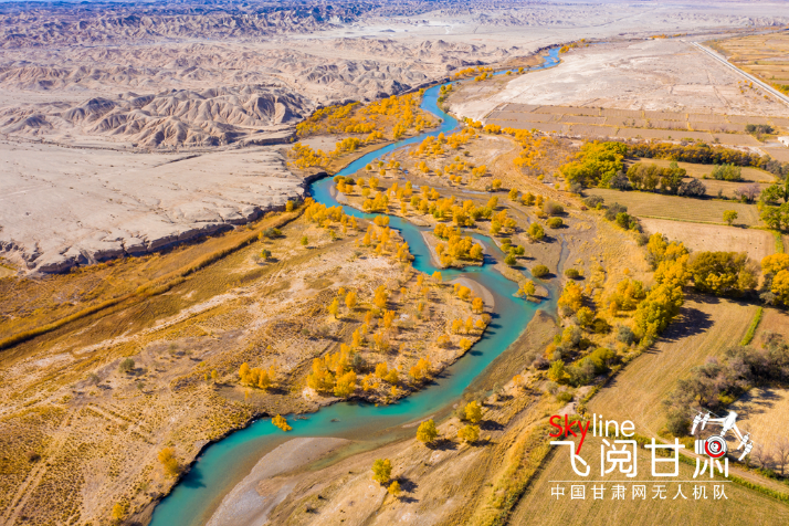 【飛閱甘肅】好美！疏勒河畔大地斑斕