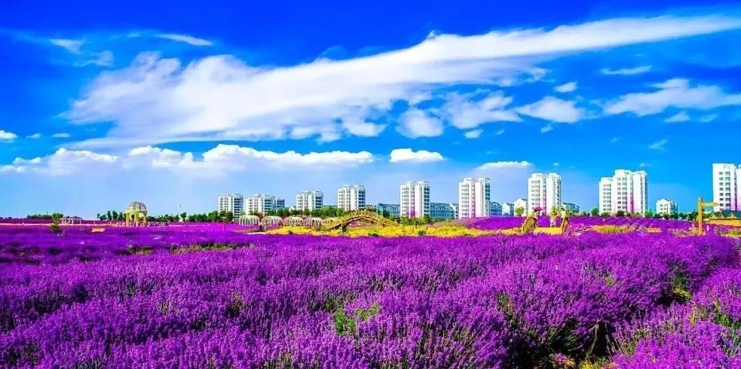 喜訊！金昌蟬聯(lián)全國文明城市