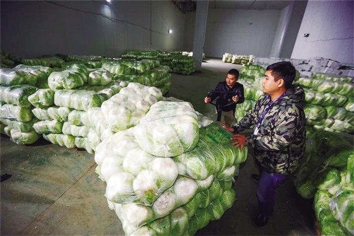 蘭州市已儲(chǔ)備1萬(wàn)噸冬春蔬菜以耐貯存、易周轉(zhuǎn)品種為主