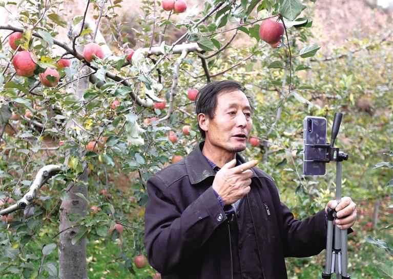 隴南禮縣蘋(píng)果5分鐘賣出1.3萬(wàn)斤