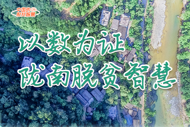 【中國(guó)的脫貧智慧】以數(shù)為證！隴南脫貧智慧來了！