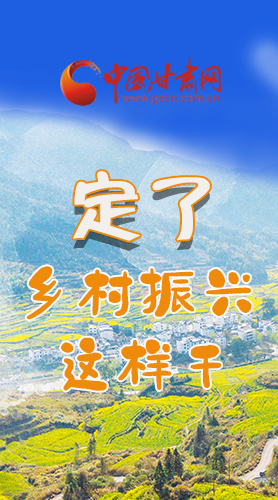 圖解|定了！全面推進(jìn)鄉(xiāng)村振興這樣干！