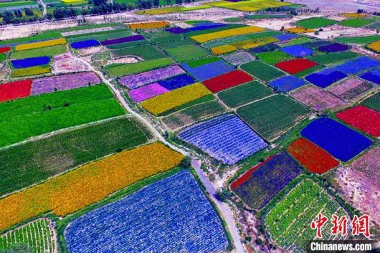 甘肅酒泉：除了天時(shí)地利，還有一“種”力