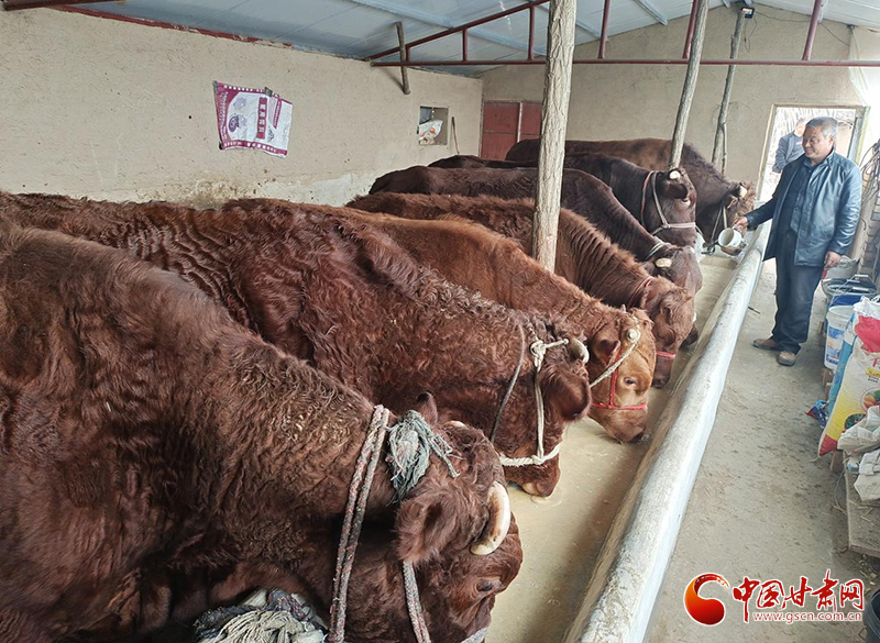 平?jīng)鰶艽ǎ骸芭！碑a(chǎn)業(yè)鋪就致富路