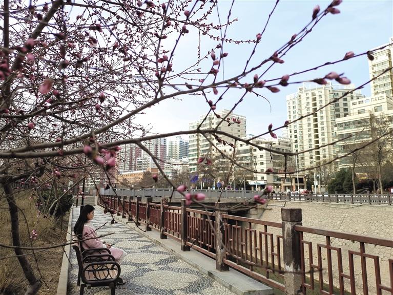 蘭州“第一朵花”開了！