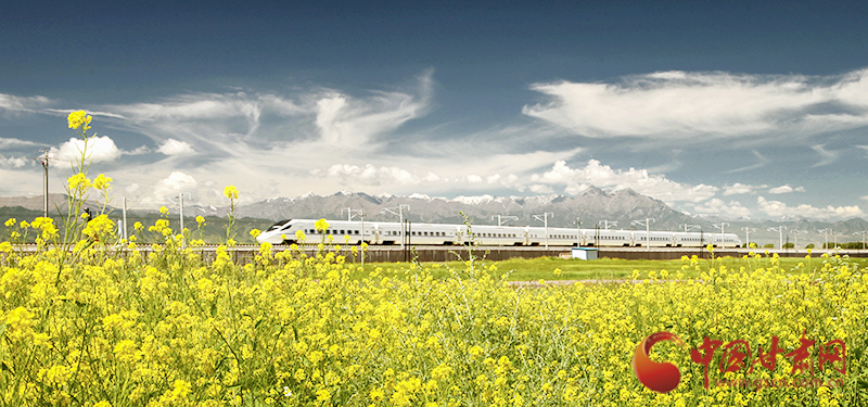 坐上火車“邂逅”春天，你可以這樣享“鐵路游”