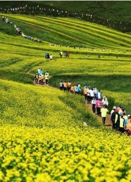 甘肅明確農(nóng)民進(jìn)城落戶:不以退出承包地、林地等為條件