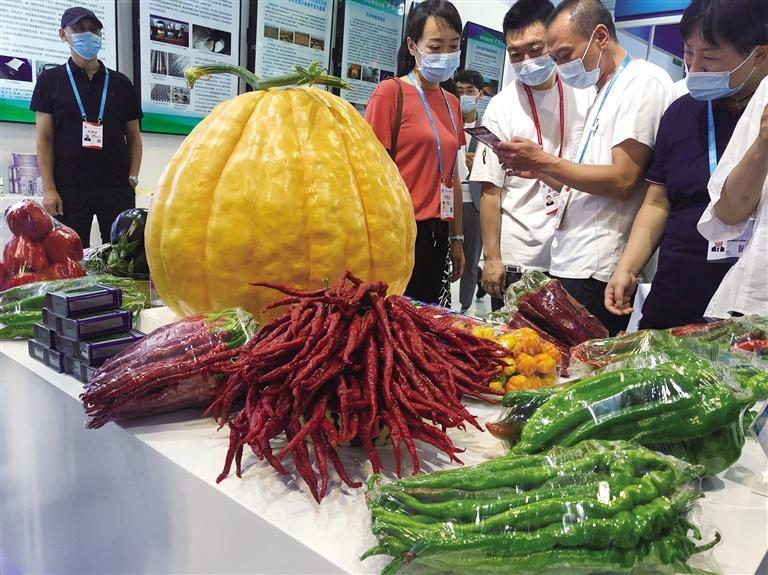 第二十七屆蘭洽會實現(xiàn)“線上+線下”全面展示 “地道甘味”散發(fā)獨(dú)特魅力