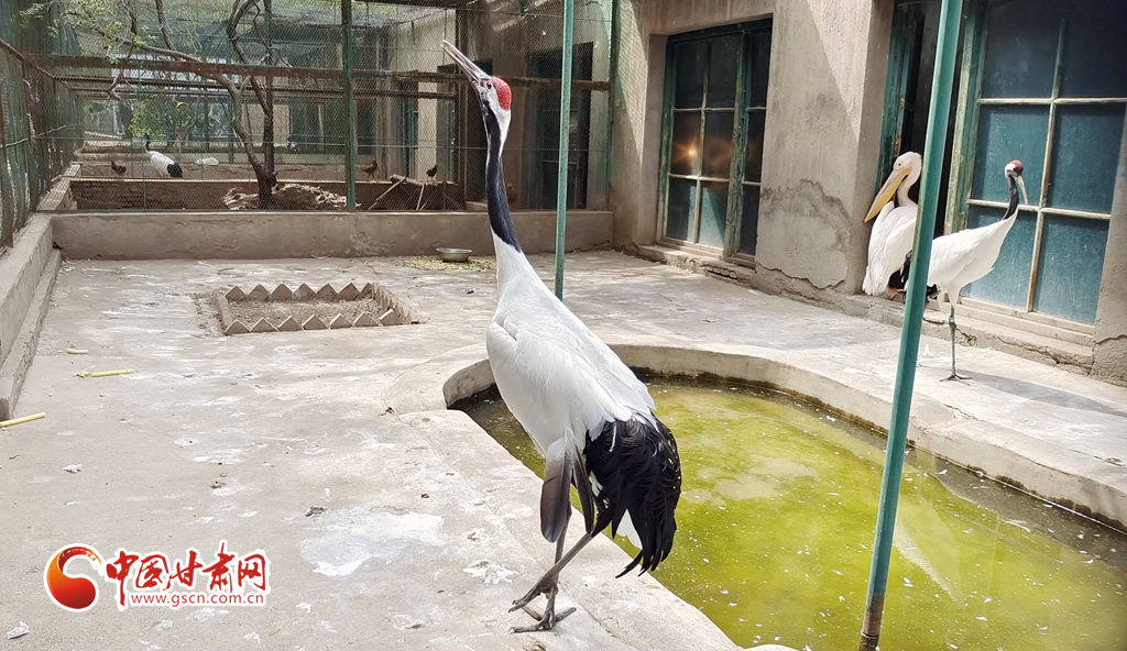 蘭州公安提醒市民：非緊急非必要，不出境