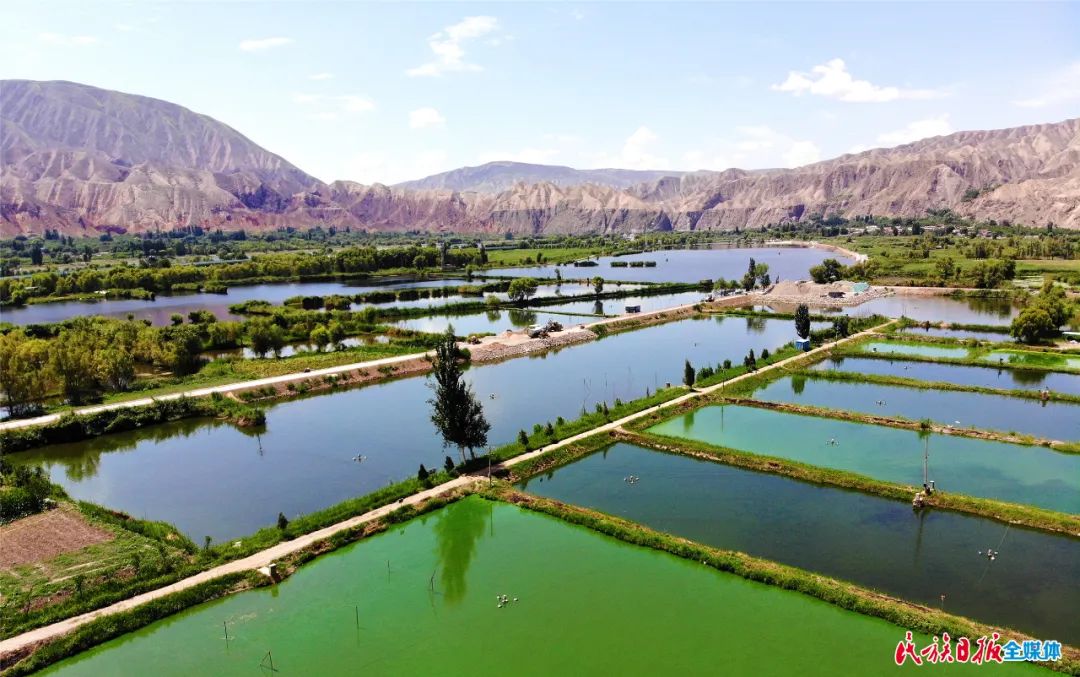 一秒入畫！太極島濕地風光秀麗