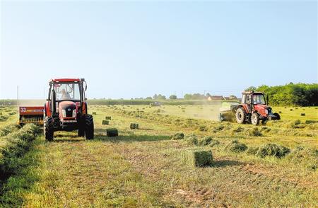 寧縣中泰種養(yǎng)殖農(nóng)民專(zhuān)業(yè)合作社種植的6800畝紫花苜蓿開(kāi)始二茬收割