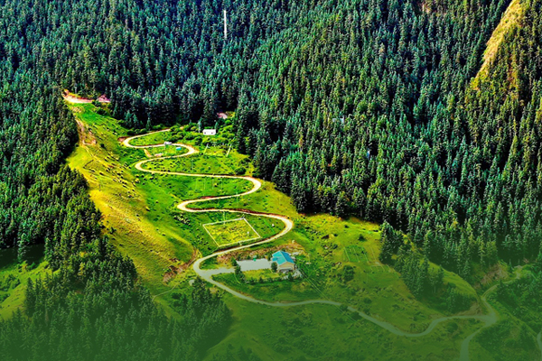 海報(bào)|祁連山保護(hù)區(qū)生態(tài)環(huán)境問(wèn)題整改全面完成！