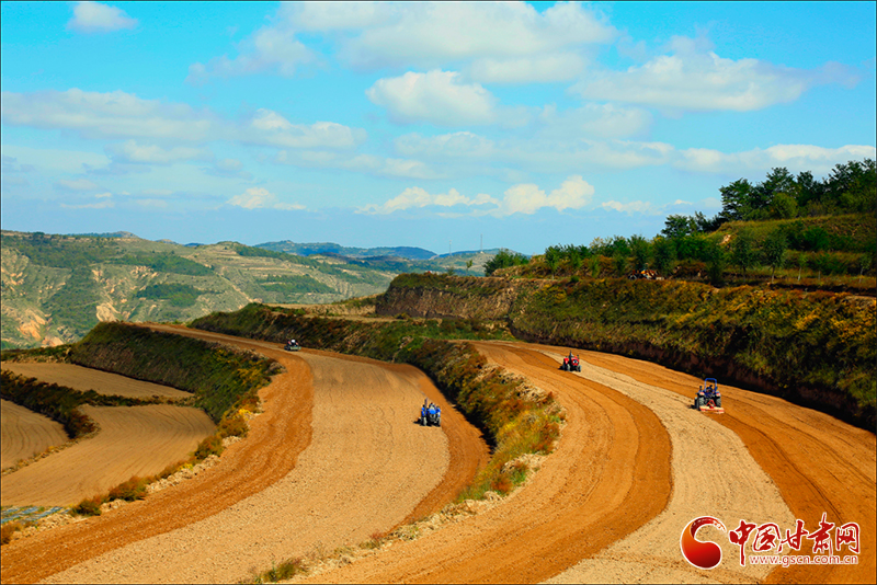 平涼靜寧：寒露時節(jié)秋播忙