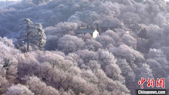 圖為霧凇美景?！⌒煺袢A 攝