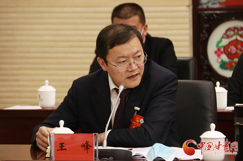 【聚焦2022甘肅兩會·代表委員說】省人大代表王峰：建議高度關(guān)注金融領域重大風險