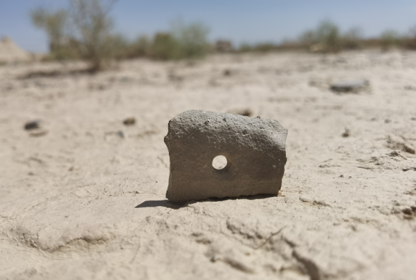 插圖1：河西走廊上遺存的古陶片。攝影：陳曉斌。拍攝日期：2020年6月。