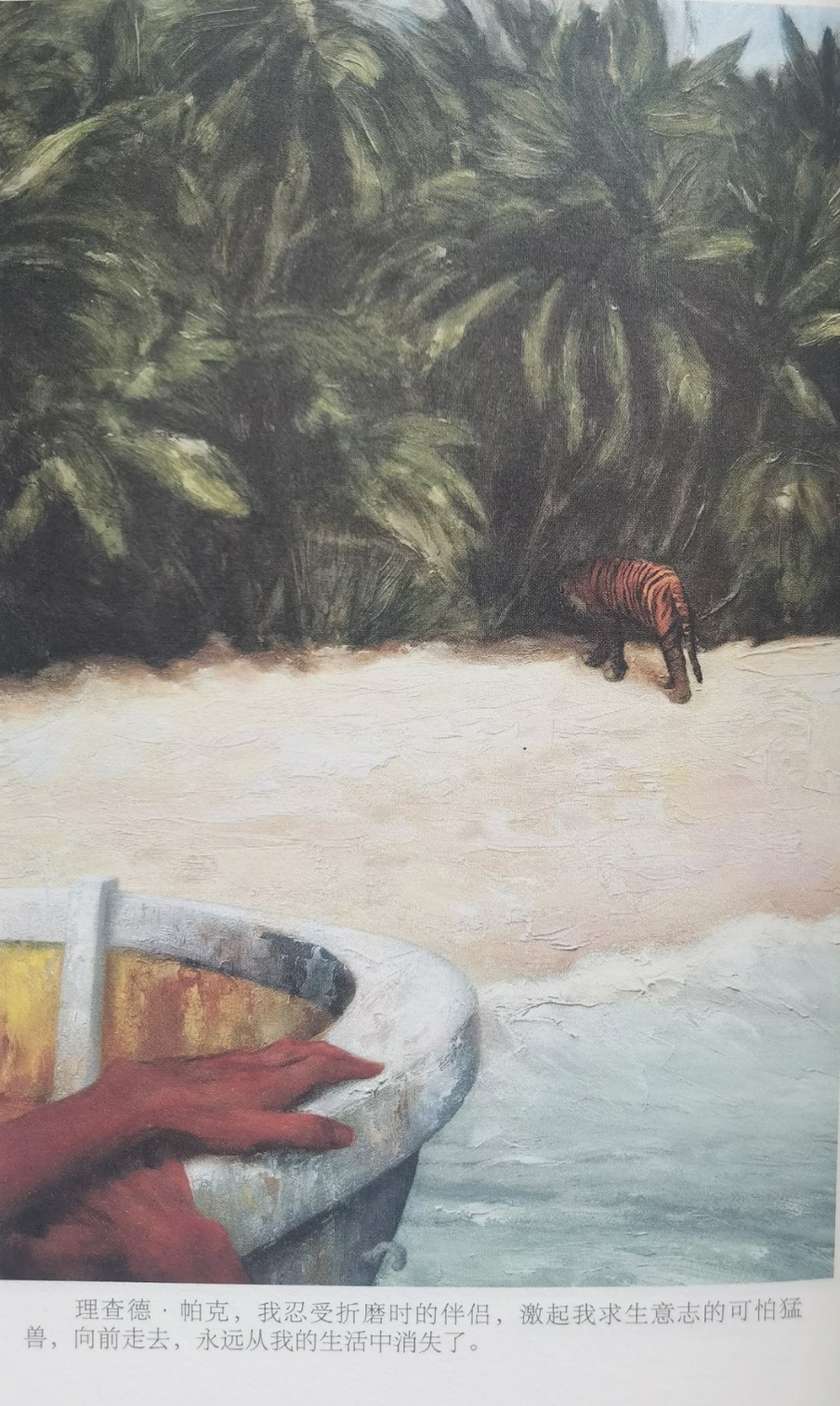 插圖3：揚？馬特爾的小說《少年pi的奇幻漂流》插圖