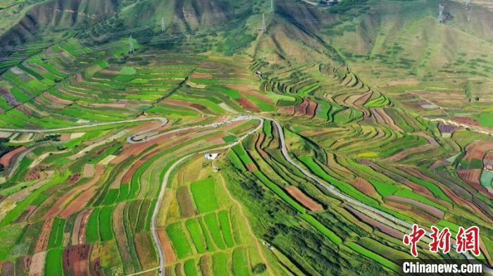 秋日里，榆中縣馬坡鄉(xiāng)千畝梯田，不同農作物漸趨成熟，呈現出多種色彩，宛若大地的“調色盤”?！圆?攝