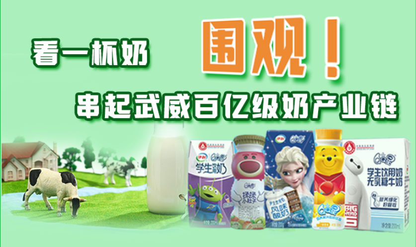 圖解|圍觀！看一杯奶串起武威百億級奶產(chǎn)業(yè)鏈