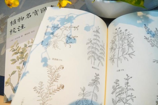 《植物名實圖考校注》內頁。圖片來源：中華書局供圖