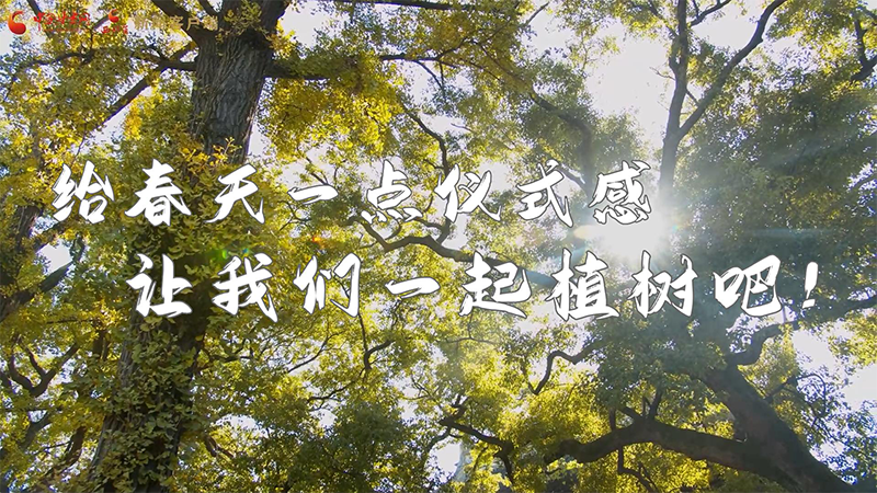 短視頻|給春天一點儀式感，讓我們一起植樹吧！