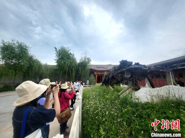 圖為媒體記者在青海永錄民俗參觀采訪?！⊙Φ?攝