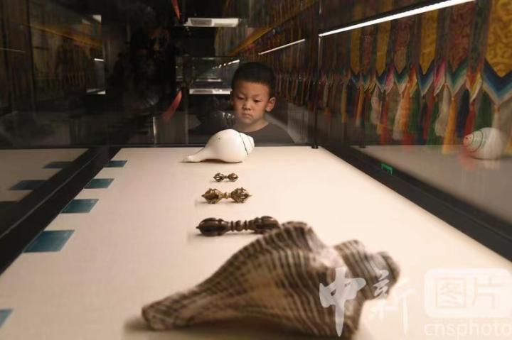 圖為展出的“白海螺法器”吸引小觀眾。 中新社記者 戴文昌 攝