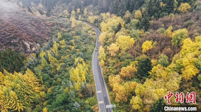 深秋，航拍位于蘭州市榆中縣的興隆山，景色如畫。金峯 攝</p>
<p>