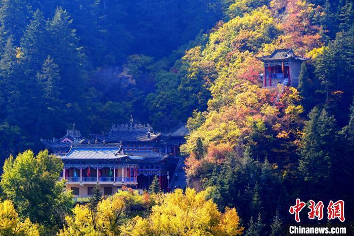 深秋，位于蘭州市榆中縣的興隆山景色如畫。宮衛(wèi)紅 攝