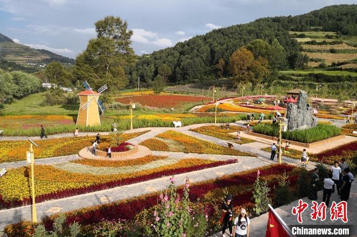 圖為航拍甘肅甘南臨潭縣八角鎮(zhèn)，花海吸引游人。(資料圖)高展 攝