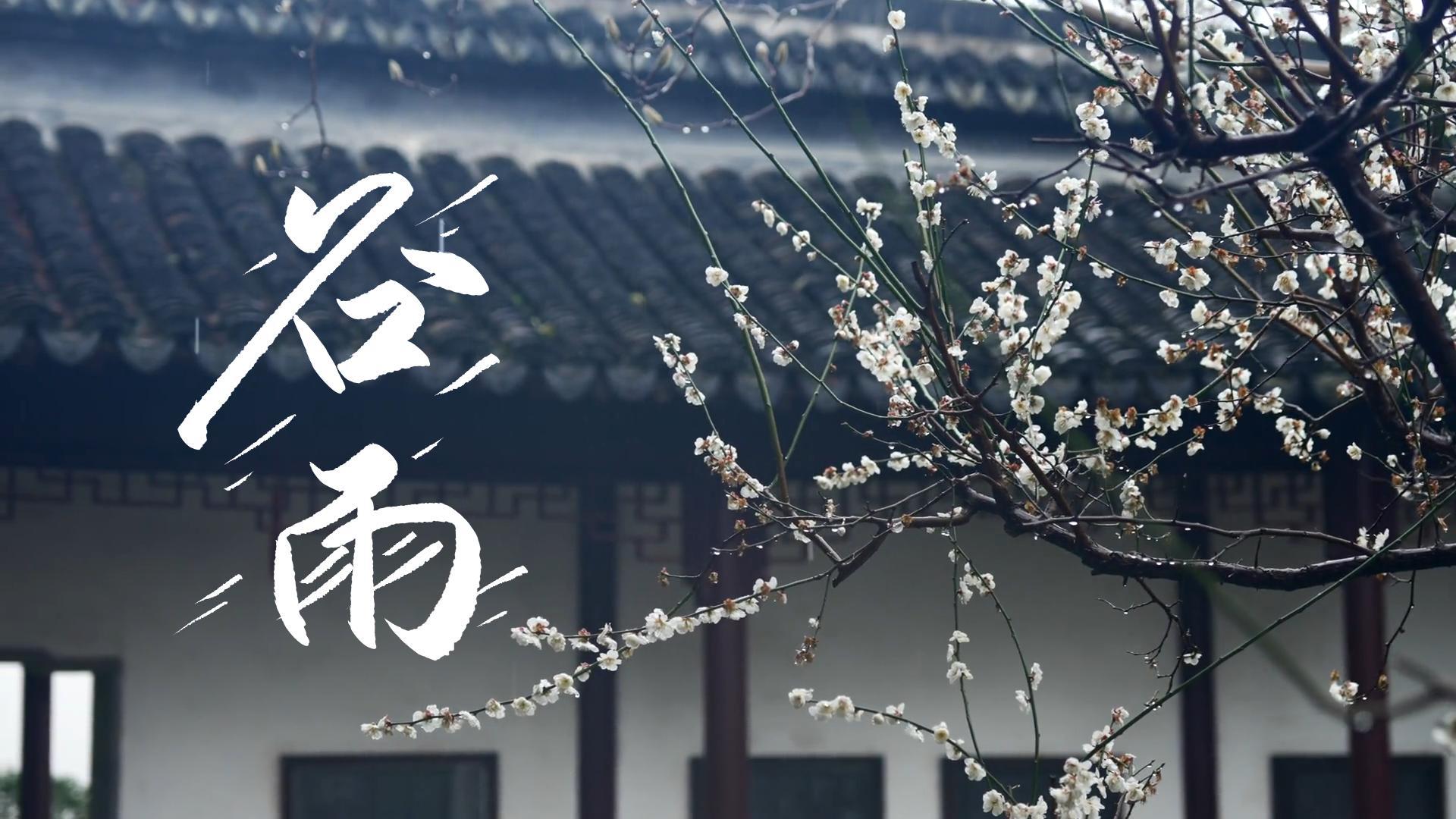 【節(jié)氣里的大美甘肅】谷雨，春天的最后一次回眸