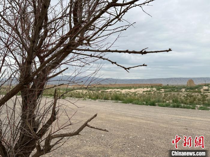 圖為位于長(zhǎng)城墻體上的“馬面”或“敵臺(tái)”?！〈魑牟?攝