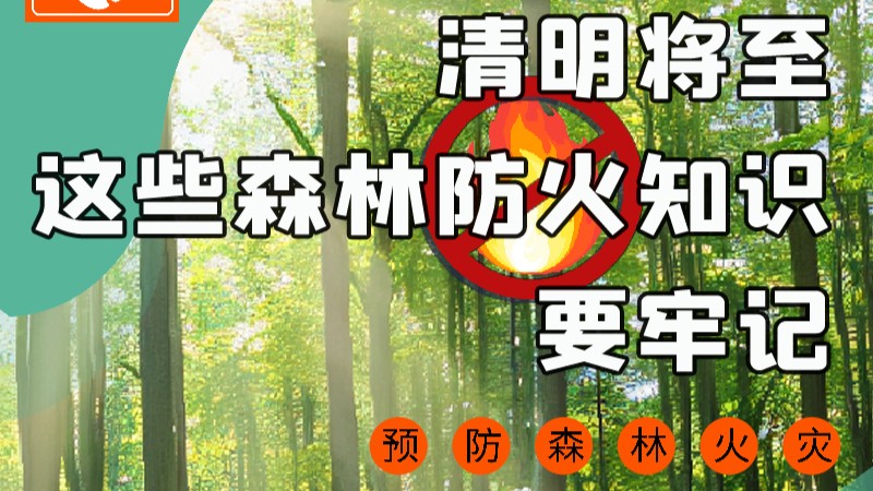 【甘快看】圖解|緊繃“安全弦”！清明，這些森林防火知識要牢記
