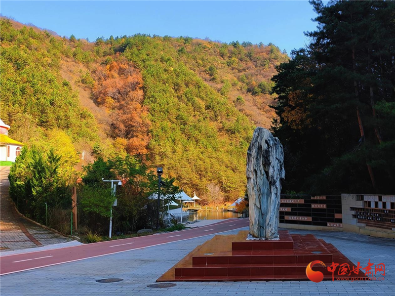 隴原山鄉(xiāng)新畫(huà)卷|華亭：一覽米家溝的“風(fēng)華雪月”