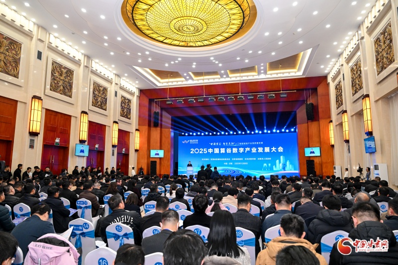 2025中國算谷數(shù)字產(chǎn)業(yè)發(fā)展大會在慶陽舉辦